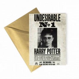 Lentikulární přání hledaný č. 1 | Harry Potter